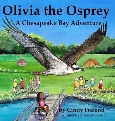 Olivia the Osprey: Przygoda w zatoce Chesapeake - Olivia the Osprey: A Chesapeake Bay Adventure