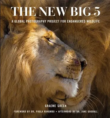 Nowa wielka piątka: globalny projekt fotograficzny na rzecz zagrożonych gatunków - The New Big 5: A Global Photography Project for Endangered Species