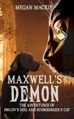 Demon Maxwella - Maxwell's Demon