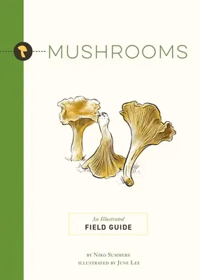 Grzyby: Ilustrowany przewodnik terenowy - Mushrooms: An Illustrated Field Guide