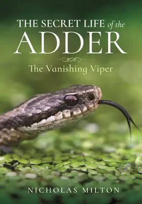 Sekretne życie żmii: Znikająca żmija - The Secret Life of the Adder: The Vanishing Viper