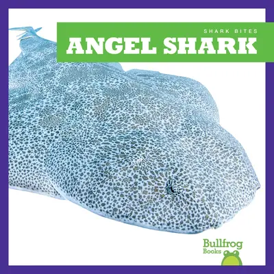 Rekin anioł - Angel Shark