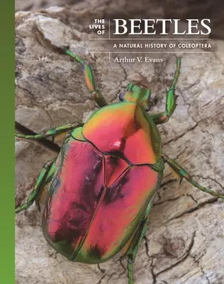 Życie chrząszczy: Historia naturalna chrząszczy Coleoptera - The Lives of Beetles: A Natural History of Coleoptera