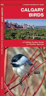 Calgary Birds: Składany kieszonkowy przewodnik po znanych gatunkach - Calgary Birds: A Folding Pocket Guide to Familiar Species