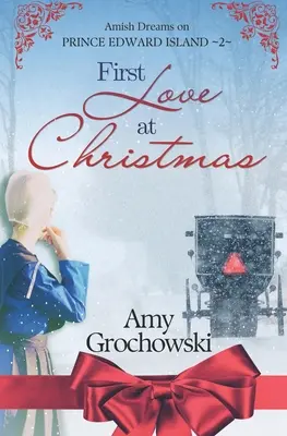 Pierwsza miłość na Boże Narodzenie: Amish Dreams on Prince Edward Island, Book 2 - First Love at Christmas: Amish Dreams on Prince Edward Island, Book 2