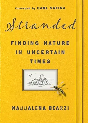 Stranded: Odnaleźć naturę w niepewnych czasach - Stranded: Finding Nature in Uncertain Times