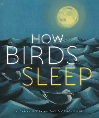 Jak śpią ptaki - How Birds Sleep