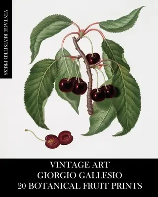 Vintage Art: Giorgio Gallesio: 20 odbitek botanicznych owoców - Vintage Art: Giorgio Gallesio 20 Botanical Fruit Prints