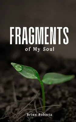 Fragmenty mojej duszy - Fragments of My Soul