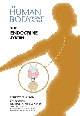 Układ hormonalny - The Endocrine System
