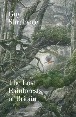 Zaginione lasy deszczowe Wielkiej Brytanii - The Lost Rainforests of Britain
