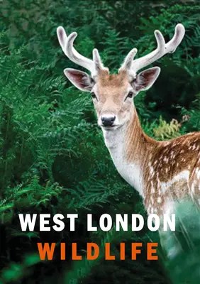 Dzika przyroda zachodniego Londynu - West London Wildlife