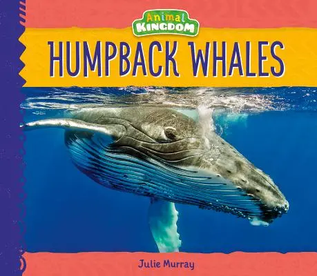 Wieloryby humbaki - Humpback Whales