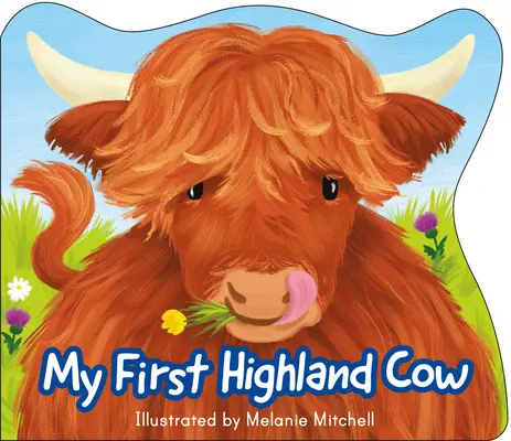 Moja pierwsza krowa góralska - My First Highland Cow