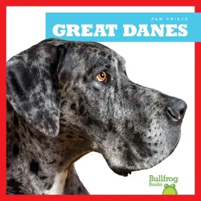 Wielkie Duńczyki - Great Danes