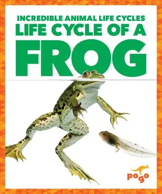 Cykl życia żaby - Life Cycle of a Frog