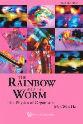 Tęcza i robak: Fizyka organizmów (wydanie 3) - Rainbow and the Worm, The: The Physics of Organisms (3rd Edition)