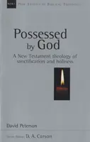 Opętani przez Boga - nowotestamentowa teologia uświęcenia i świętości (Peterson David (Author)) - Possessed by God - New Testament Theology Of Sanctification And Holiness (Peterson David (Author))