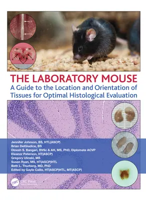 Mysz laboratoryjna: Przewodnik po lokalizacji i orientacji tkanek w celu optymalnej oceny histologicznej - The Laboratory Mouse: A Guide to the Location and Orientation of Tissues for Optimal Histological Evaluation