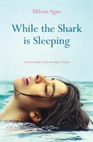 Gdy rekin śpi - While the Shark is Sleeping