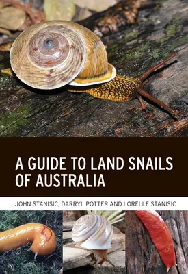 Przewodnik po ślimakach lądowych Australii - A Guide to Land Snails of Australia