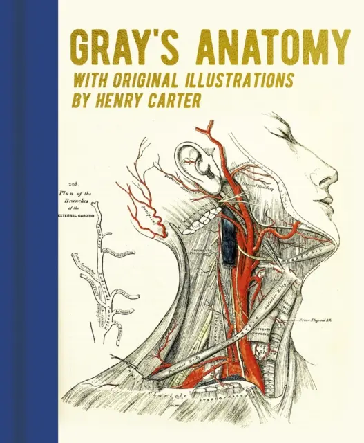 Anatomia Graya - z oryginalnymi ilustracjami Henry'ego Cartera - Gray's Anatomy - With Original Illustrations by Henry Carter