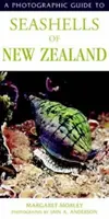 Fotograficzny przewodnik po muszlach Nowej Zelandii - Photographic Guide To Seashells Of New Zealand