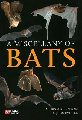 Miscellany of Bats - A Miscellany of Bats