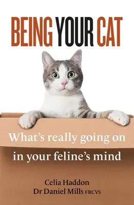 Być swoim kotem: co naprawdę dzieje się w kocim umyśle - Being Your Cat: What's Really Going on in Your Feline's Mind