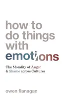 Jak radzić sobie z emocjami: Moralność gniewu i wstydu w różnych kulturach - How to Do Things with Emotions: The Morality of Anger and Shame Across Cultures