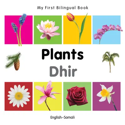 Moja pierwsza dwujęzyczna książka - rośliny (angielski-somali) - My First Bilingual Book-Plants (English-Somali)