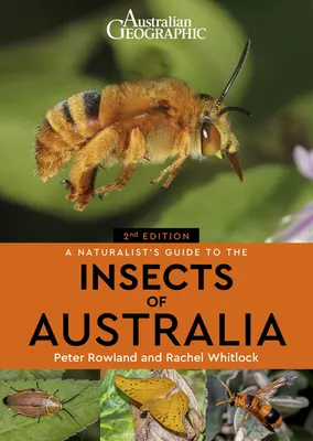 Przewodnik przyrodnika po owadach Australii - A Naturalist's Guide to the Insects of Australia