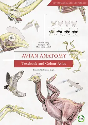 Anatomia ptaków: podręcznik i kolorowy atlas - Avian Anatomy: Textbook and Colour Atlas