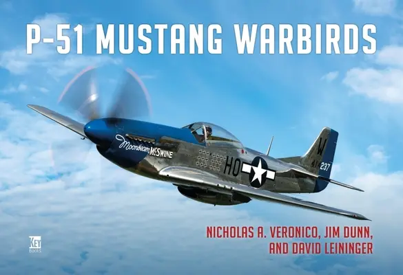 P-51 Mustang Warbirds