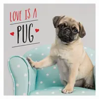 Love is a Pug - Pugtastyczna celebracja najsłodszych psów na świecie - Love is a Pug - A Pugtastic Celebration of The World's Cutest Dogs