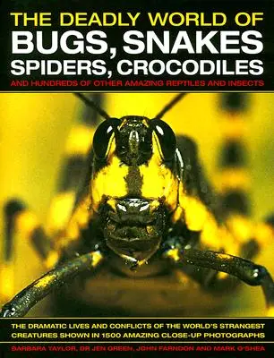 Zabójczy świat robali, węży, pająków, krokodyli: I setki innych niesamowitych gadów i owadów - The Deadly World of Bugs, Snakes, Spiders, Crocodiles: And Hundreds of Other Amazing Reptiles and Insects