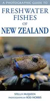 Przewodnik fotograficzny po rybach słodkowodnych Nowej Zelandii - Photographic Guide To Freshwater Fishes Of New Zealand