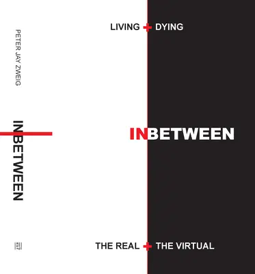 Życie i umieranie pomiędzy rzeczywistością a wirtualnością - Living + Dying Inbetween the Real + the Virtual