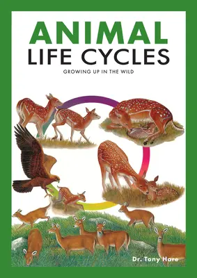 Cykle życia zwierząt: Odkrywanie, jak żyją zwierzęta na wolności - Animal Life Cycles: Discovering How Animals Live in the Wild