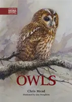 Sowy - Owls