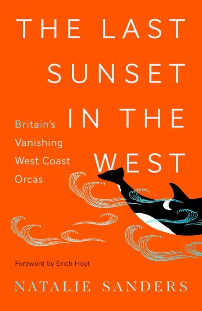Ostatni zachód słońca na zachodzie - znikające orki z zachodniego wybrzeża Wielkiej Brytanii - Last Sunset in the West - Britain's Vanishing West Coast Orcas