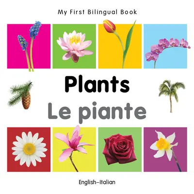 Moja pierwsza dwujęzyczna książka - rośliny (angielsko-włoski) - My First Bilingual Book-Plants (English-Italian)