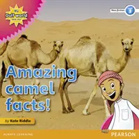 My Gulf World and Me Level 3 - czytanka non-fiction: Niesamowite fakty o wielbłądach! - My Gulf World and Me Level 3 non-fiction reader: Amazing camel facts!