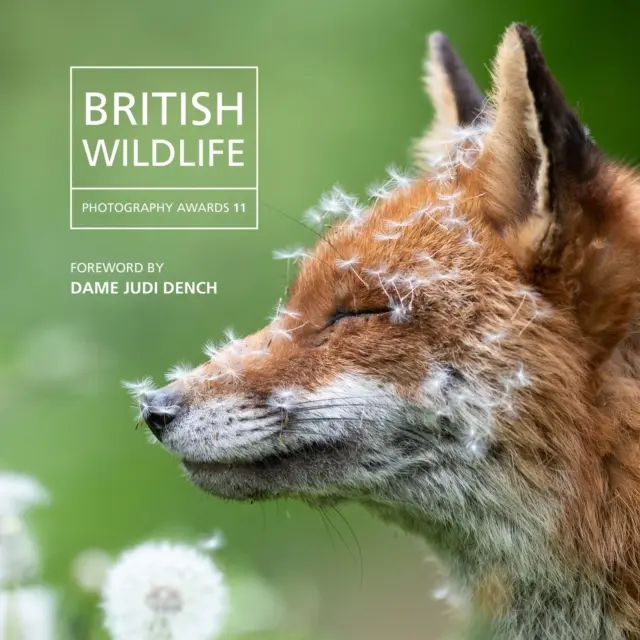 Nagrody British Wildlife Photography Awards 2023 - British Wildlife Photography Awards 2023