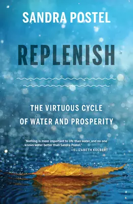 Replenish: Cnotliwy cykl wody i dobrobytu - Replenish: The Virtuous Cycle of Water and Prosperity
