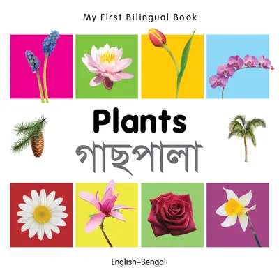 Moja pierwsza dwujęzyczna książka - rośliny (angielski-bengalski) - My First Bilingual Book-Plants (English-Bengali)