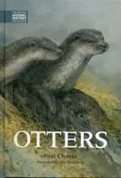 Wydry - Otters