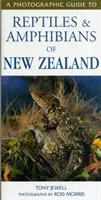 Przewodnik fotograficzny po gadach i płazach Nowej Zelandii - Photographic Guide To Reptiles & Amphibians Of New Zealand