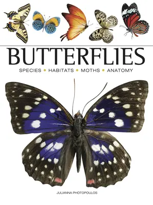 Motyle - Butterflies