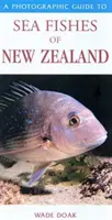 Przewodnik fotograficzny po rybach morskich Nowej Zelandii - Photographic Guide To Sea Fishes Of New Zealand